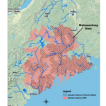 Penobscot River - Mattawamkeag River Atlantic Salmon Habitat Map